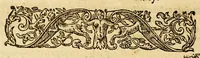 An illustration from A briefe and true relation of the discouerie of the north part of Virginia: being a most pleasant, fruitfull and commodious soile: : made this present yeere 1602, by captaine Bartholomew Gosnold, Captaine Bartholowmew [sic] Gilbert, and diuers other gentlemen their associats, by the permission of the honourable knight, Sir Walter Ralegh, &c. (1602)