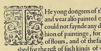 Picture 18 of 22 from A briefe and true report of the new found land of Virginia, : of the commodities and of the nature and manners of the naturall inhabitants. Discouered by the English colony there seated by Sir Richard Greinuile knight in the yeere 1585. Which remained vnder the gouernment of twelue monethes, at the speciall charge and direction of the honourable Sir Walter Raleigh knight lord warden of the stanneries who therein hath beene fauoured and authorised by her maiestie and her letters patents: (1590), leaf 120