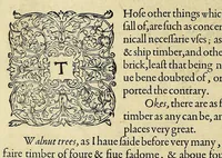 An illustration from A briefe and true report of the new found land of Virginia, : of the commodities and of the nature and manners of the naturall inhabitants. Discouered by the English colony there seated by Sir Richard Greinuile knight in the yeere 1585. Which remained vnder the gouernment of twelue monethes, at the speciall charge and direction of the honourable Sir Walter Raleigh knight lord warden of the stanneries who therein hath beene fauoured and authorised by her maiestie and her letters patents: (1590)