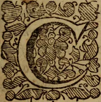 Picture 2 of 4 from A brief explication of the first fifty Psalms (1653), leaf 14