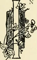 An illustration from A brief history of the Detroit Museum of Art and its collections : illustrated (1902)