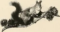 An illustration from A brief history of the Detroit Museum of Art and its collections : illustrated (1902)