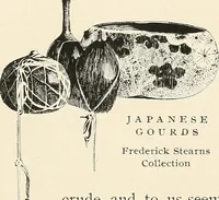 Picture 69 of 83 from A brief history of the Detroit Museum of Art and its collections : illustrated (1902), leaf 81
