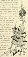 An illustration from A brief history of the Detroit Museum of Art and its collections : illustrated (1902)