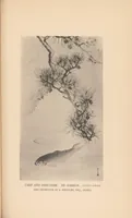 Picture 3 of 5 from A brief history of pictorial Japan (1919), leaf 67