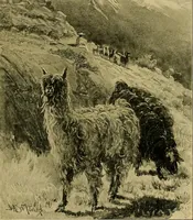 An illustration from A brief outline of the business of William Whitman & co. .. (1910)