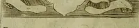 An illustration from Briefve histoire de l'institution des ordres religieux : avec les figures de leurs habits (1680)