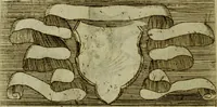 Picture 100 of 119 from Briefve histoire de l'institution des ordres religieux : avec les figures de leurs habits (1680), leaf 179