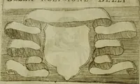 An illustration from Briefve histoire de l'institution des ordres religieux : avec les figures de leurs habits (1680)