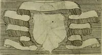 Picture 14 of 119 from Briefve histoire de l'institution des ordres religieux : avec les figures de leurs habits (1680), leaf 75