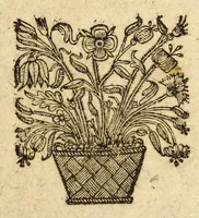 An illustration from Brieue relation du voyage des isles de l'Amerique. (1646)