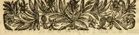 An illustration from Brieue relation du voyage des isles de l'Amerique. (1646)