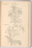 An illustration from Briggs & Co.'s patent transferring papers (1880)