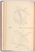 Picture 8 of 16 from Briggs & Co.'s patent transferring papers (1880), leaf 77