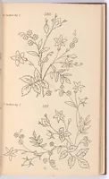 An illustration from Briggs & Co.'s patent transferring papers (1880)