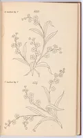 Picture 10 of 16 from Briggs & Co.'s patent transferring papers (1880), leaf 96