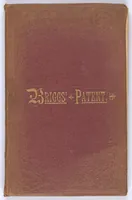 An illustration from Briggs & Co.'s patent transferring papers : protected by Her Most Gracious Majesty's Royal Letters Patent ; a warm iron passed over the backs of these papers transfers the pattern to any fabric (1883)