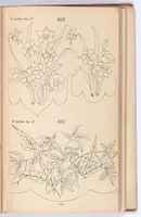 Picture 12 of 17 from Briggs & Co.'s patent transferring papers : protected by Her Most Gracious Majesty's Royal Letters Patent ; a warm iron passed over the backs of these papers transfers the pattern to any fabric (1883), leaf 110