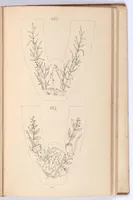 An illustration from Briggs & Co.'s patent transferring papers : protected by Her Most Gracious Majesty's Royal Letters Patent ; a warm iron passed over the backs of these papers transfers the pattern to any fabric (1883)