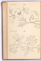 Picture 5 of 17 from Briggs & Co.'s patent transferring papers : protected by Her Most Gracious Majesty's Royal Letters Patent ; a warm iron passed over the backs of these papers transfers the pattern to any fabric (1883), leaf 43