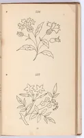 An illustration from Briggs & Co.'s patent transferring papers : protected by Her Most Gracious Majesty's Royal Letters Patent ; a warm iron passed over the backs of these papers transfers the pattern to any fabric (1883)