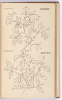 An illustration from Briggs & Co.'s patent transferring papers : protected by Her Most Gracious Majesty's Royal Letters Patent ; a warm iron passed over the backs of these papers transfers the pattern to any fabric (1883)
