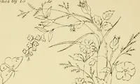 An illustration from Briggs & Co.'s patent transferring papers : protected by Her Most Gracious Majesty's royal letters patent (1880)