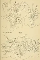 An illustration from Briggs & Co.'s patent transferring papers : protected by Her Most Gracious Majesty's royal letters patent (1880)