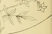 An illustration from Briggs & Co.'s patent transferring papers : protected by Her Most Gracious Majesty's royal letters patent (1880)