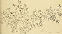 An illustration from Briggs & Co.'s patent transferring papers : protected by Her Most Gracious Majesty's royal letters patent (1880)