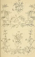 An illustration from Briggs & Co.'s patent transferring papers : protected by Her Most Gracious Majesty's royal letters patent (1880)