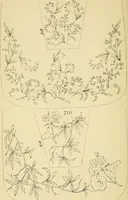 An illustration from Briggs & Co.'s patent transferring papers : protected by Her Most Gracious Majesty's royal letters patent (1880)