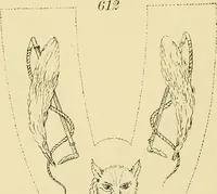 An illustration from Briggs & Co.'s patent transferring papers : protected by Her Most Gracious Majesty's royal letters patent (1880)