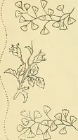 An illustration from Briggs & Co.'s patent transferring papers : protected by Her Most Gracious Majesty's royal letters patent (1880)