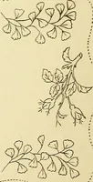An illustration from Briggs & Co.'s patent transferring papers : protected by Her Most Gracious Majesty's royal letters patent (1880)