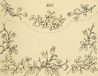 An illustration from Briggs & Co.'s patent transferring papers : protected by Her Most Gracious Majesty's royal letters patent (1880)