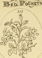 An illustration from Briggs & Co.'s patent transferring papers : protected by Her Most Gracious Majesty's royal letters patent (1880)