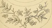 An illustration from Briggs & Co.'s patent transferring papers : protected by Her Most Gracious Majesty's royal letters patent (1880)
