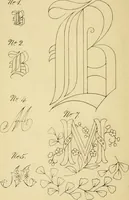 An illustration from Briggs & Co.'s patent transferring papers : protected by Her Most Gracious Majesty's royal letters patent (1880)