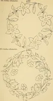 An illustration from Briggs & Co.'s patent transferring papers : protected by Her Most Gracious Majesty's royal letters patent (1880)