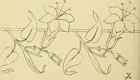 An illustration from Briggs & Co.'s patent transferring papers : protected by Her Most Gracious Majesty's royal letters patent (1880)