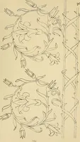 An illustration from Briggs & Co.'s patent transferring papers : protected by Her Most Gracious Majesty's royal letters patent (1880)