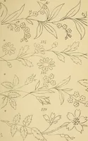 An illustration from Briggs & Co.'s patent transferring papers : protected by Her Most Gracious Majesty's royal letters patent (1880)