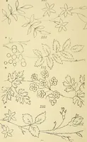 An illustration from Briggs & Co.'s patent transferring papers : protected by Her Most Gracious Majesty's royal letters patent (1880)