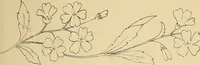 An illustration from Briggs & Co.'s patent transferring papers : protected by Her Most Gracious Majesty's royal letters patent (1880)