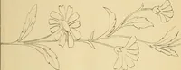 An illustration from Briggs & Co.'s patent transferring papers : protected by Her Most Gracious Majesty's royal letters patent (1880)