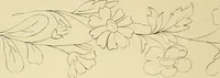 An illustration from Briggs & Co.'s patent transferring papers : protected by Her Most Gracious Majesty's royal letters patent (1880)