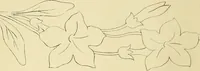 An illustration from Briggs & Co.'s patent transferring papers : protected by Her Most Gracious Majesty's royal letters patent (1880)