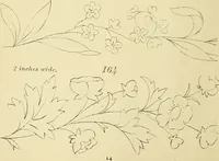 An illustration from Briggs & Co.'s patent transferring papers : protected by Her Most Gracious Majesty's royal letters patent (1880)