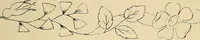 An illustration from Briggs & Co.'s patent transferring papers : protected by Her Most Gracious Majesty's royal letters patent (1880)